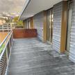 Accoya Terrassendiele GREY grau durchgefärbt, 21mm, glatt gehobelt, mit Senofix Profil | Bild 6