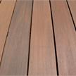 cWPC Terrassendielen Forexia Atmosphère IPÉ, gebürstet (farblich braun assortiert) | Bild 3