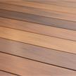 cWPC Terrassendielen Forexia Atmosphère IPÉ, gebürstet (farblich braun assortiert) | Bild 2