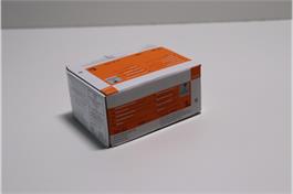 Fermacell-Schnellschrauben, 3.9x22mm, 1000 Stk./Pkt.