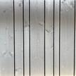 Fichten Schattennut Schalung, 19 x 127 mm, Platin grau, Feder RAL 9005 schwarz | Bild 3