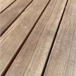 Heim. Lärche Terrassendielen, 24mm, gehobelt, astarm, RIFT/HALBRIFT | Bild 2